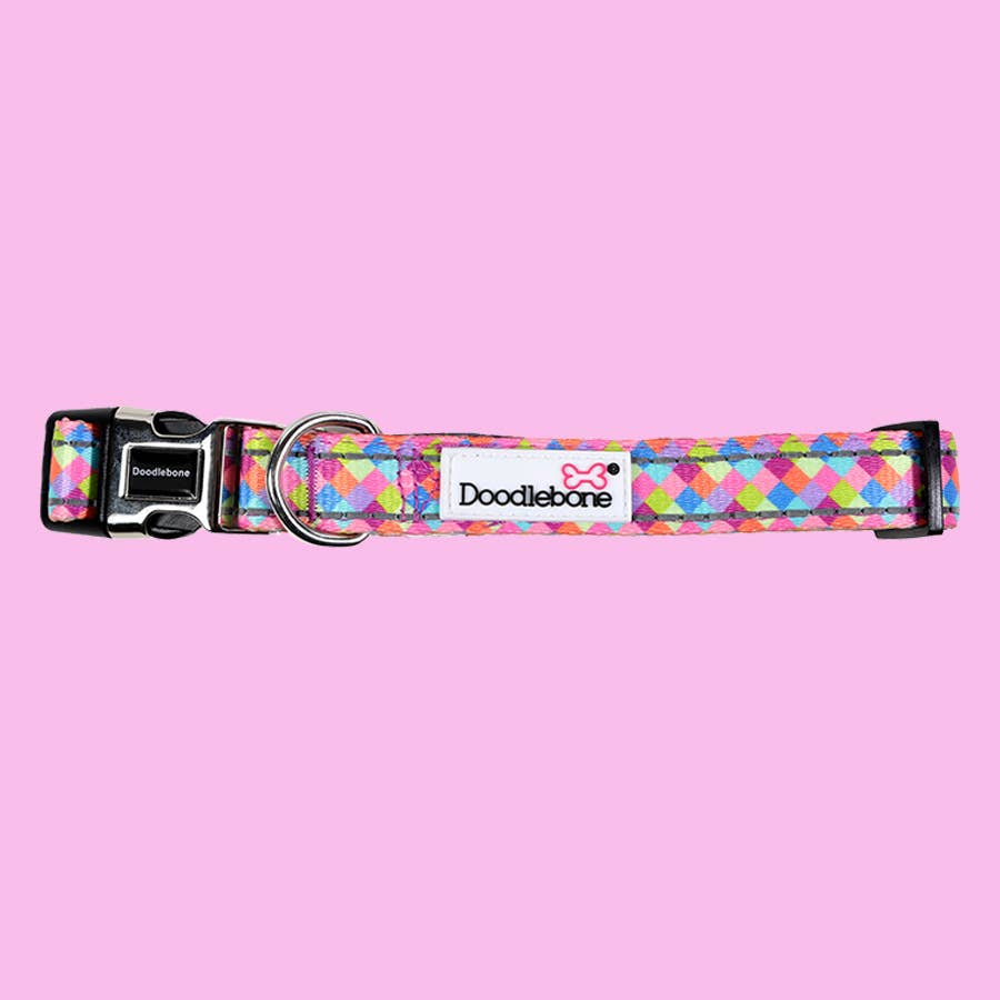 Doodlebone - Padded Dog Collar