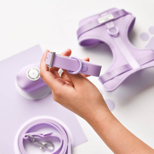Cocopup London - NAKD Collar - Parma Violets