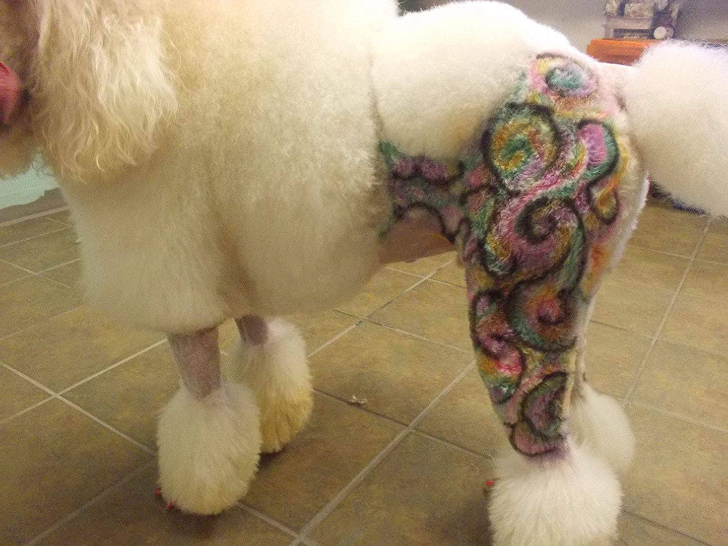 Critter Color - Temporary Fur Coloring - 7 Color Options