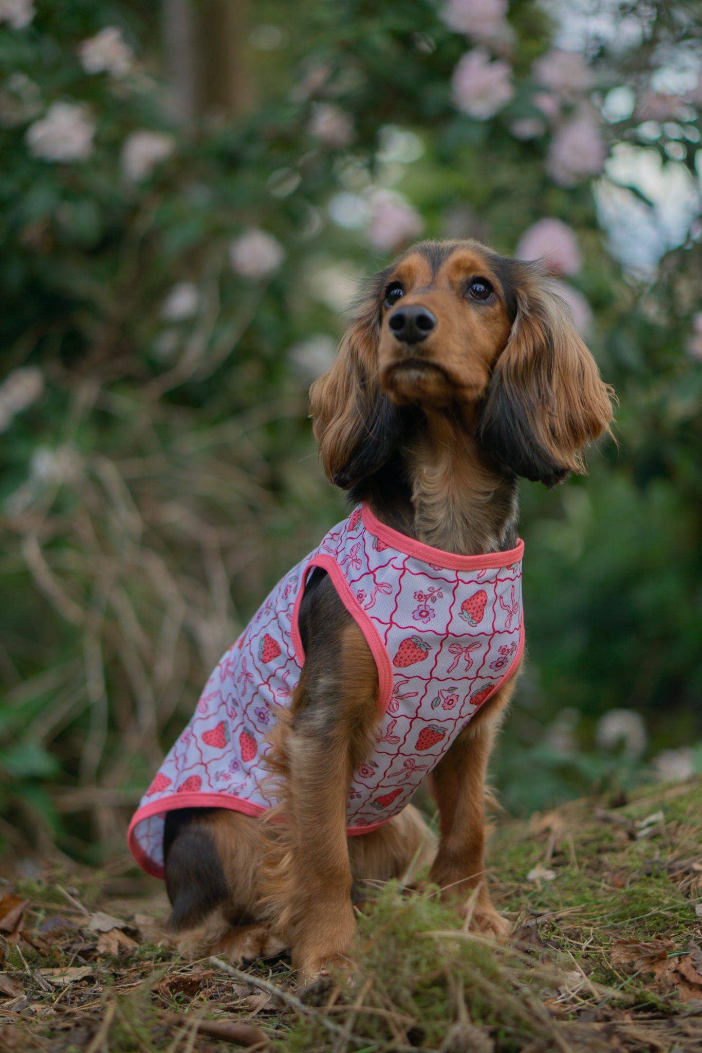The Paw Print Boutique - The Bows & Berries Cooling Vest
