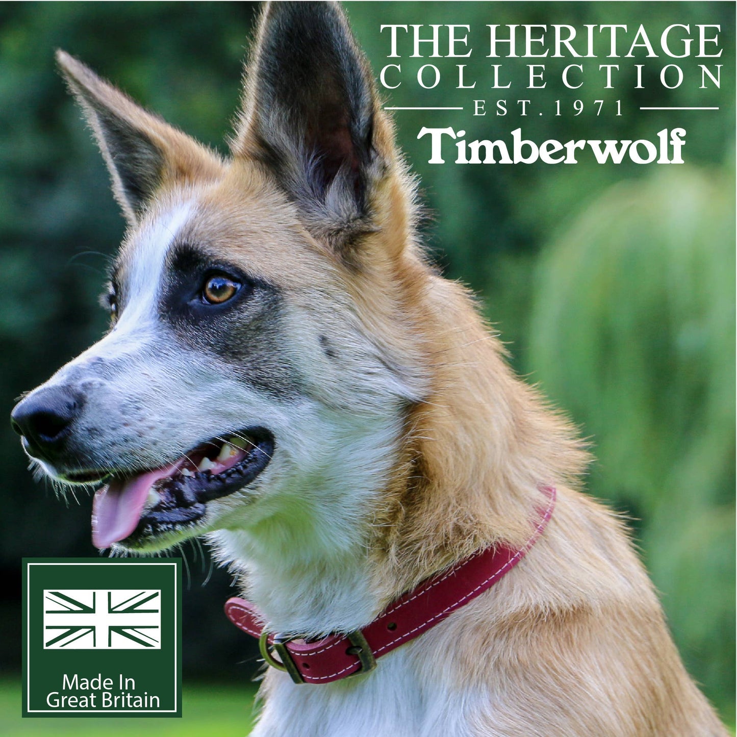 Ancol Pet Products Ltd - Timberwolf Leather Collar Raspberry