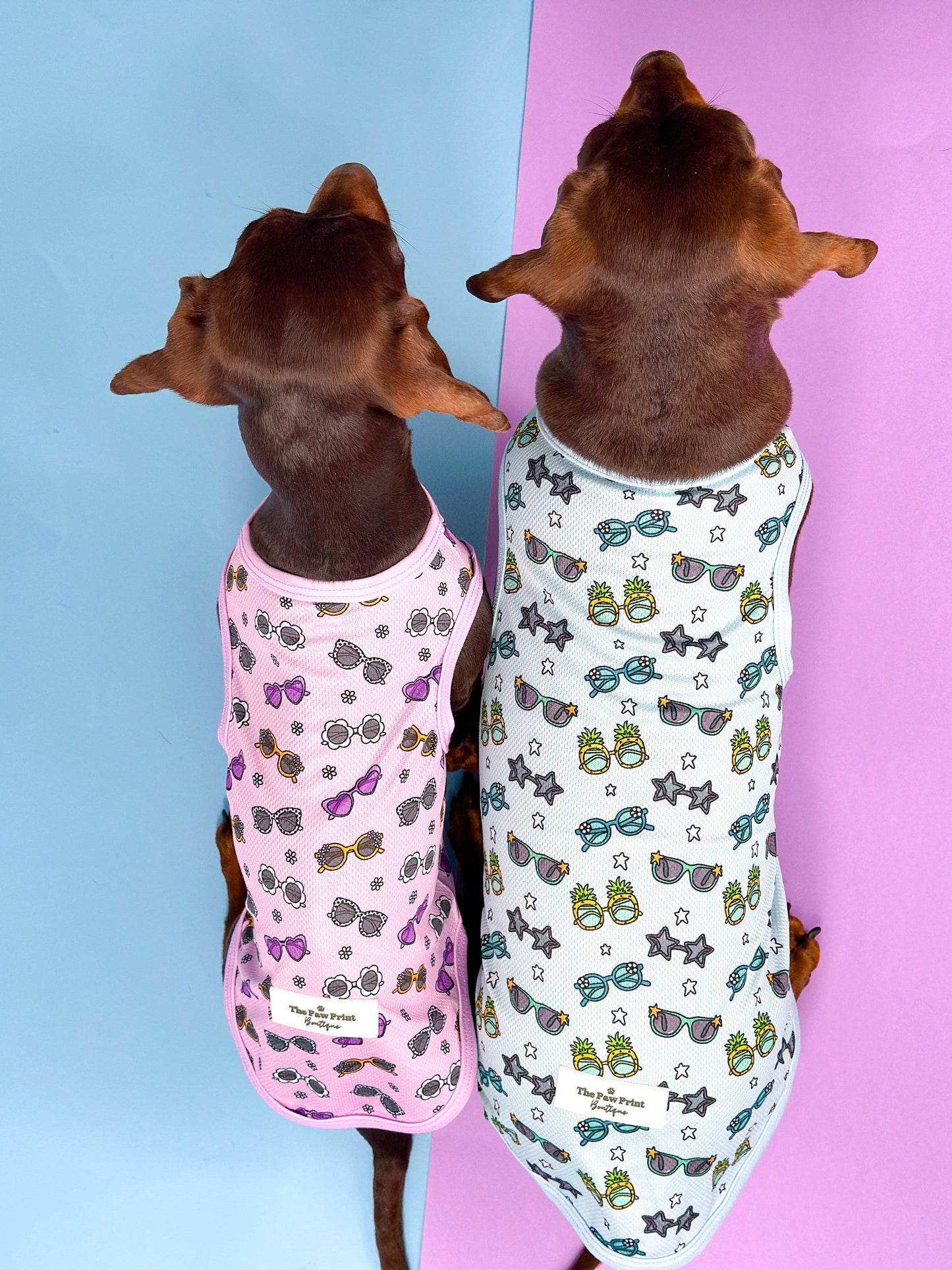 The Paw Print Boutique - The Sassy Sunnies Cooling Vest