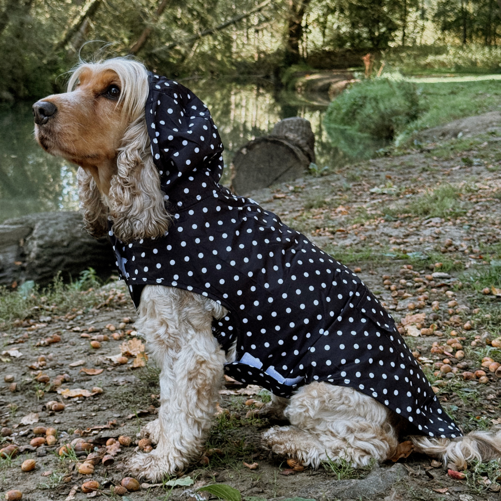 Cocopup London - Dog Raincoat - Black Polka Dot