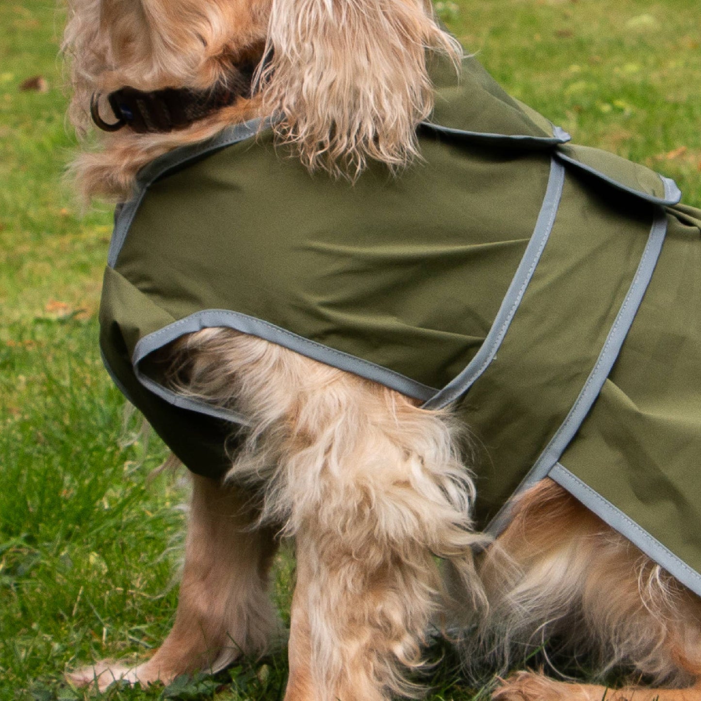Ancol Pet Products Ltd - Stormguard Soft Shell  Dog Coat Khaki XS-XXL