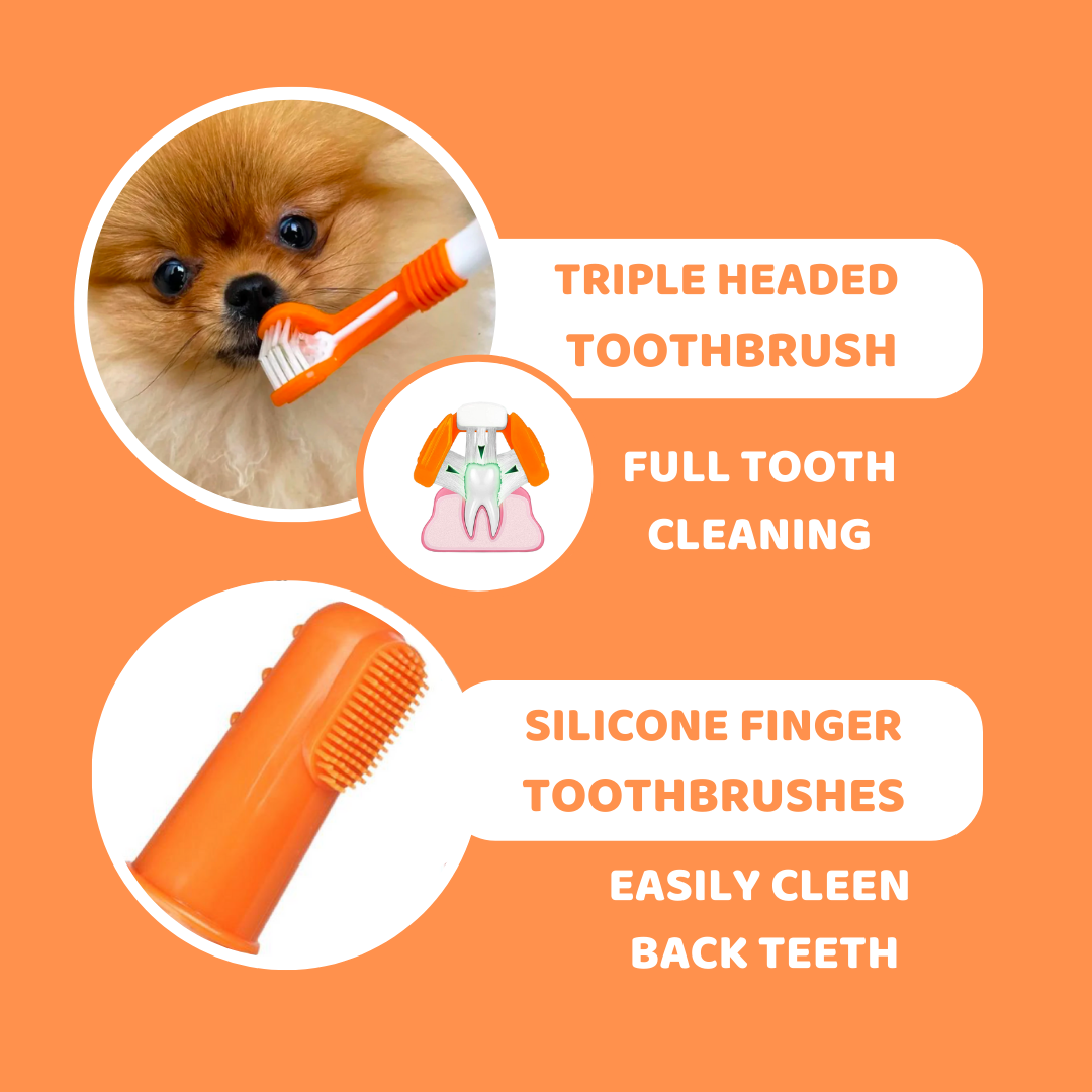 OurPetsLife - Dog Toothpaste and Toothbrush Set