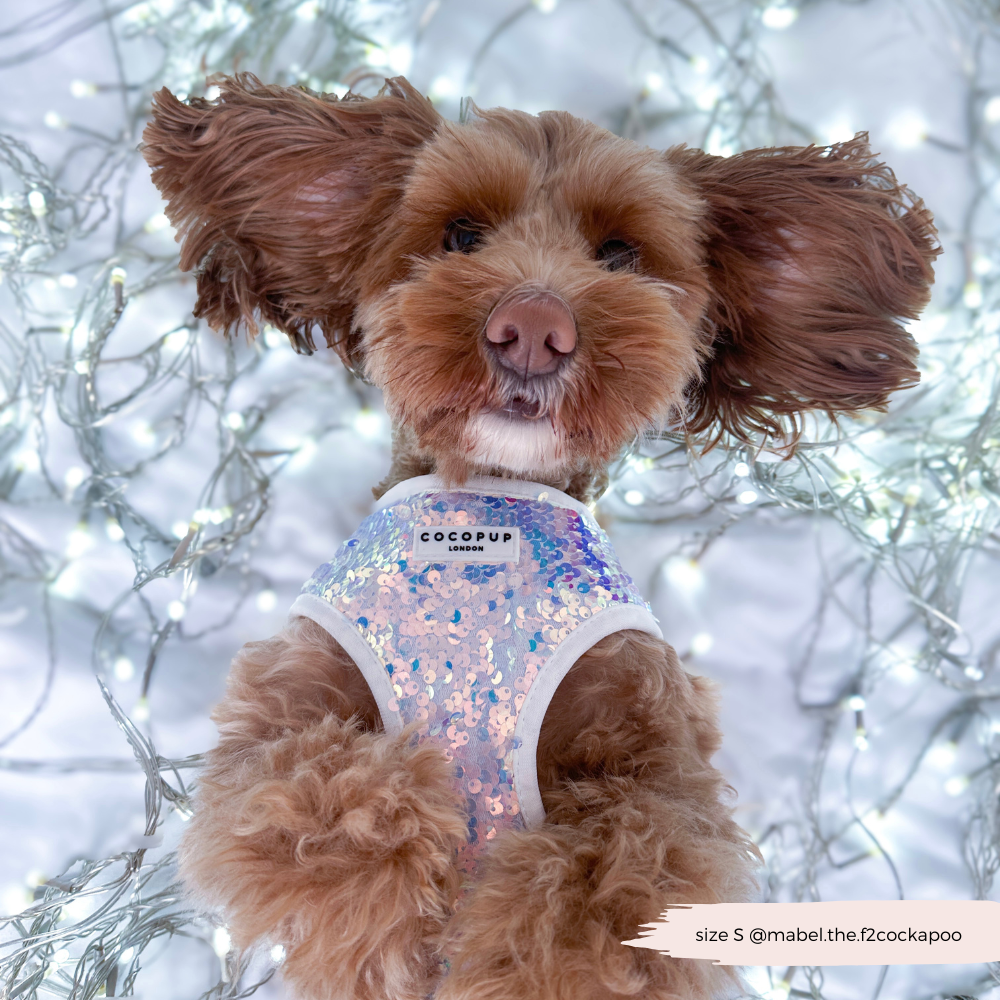 Cocopup London - LUXE Party Holographic Sequin HARNESS