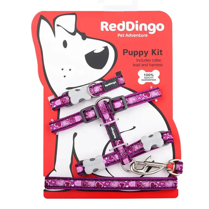 Red Dingo Puppy Kit