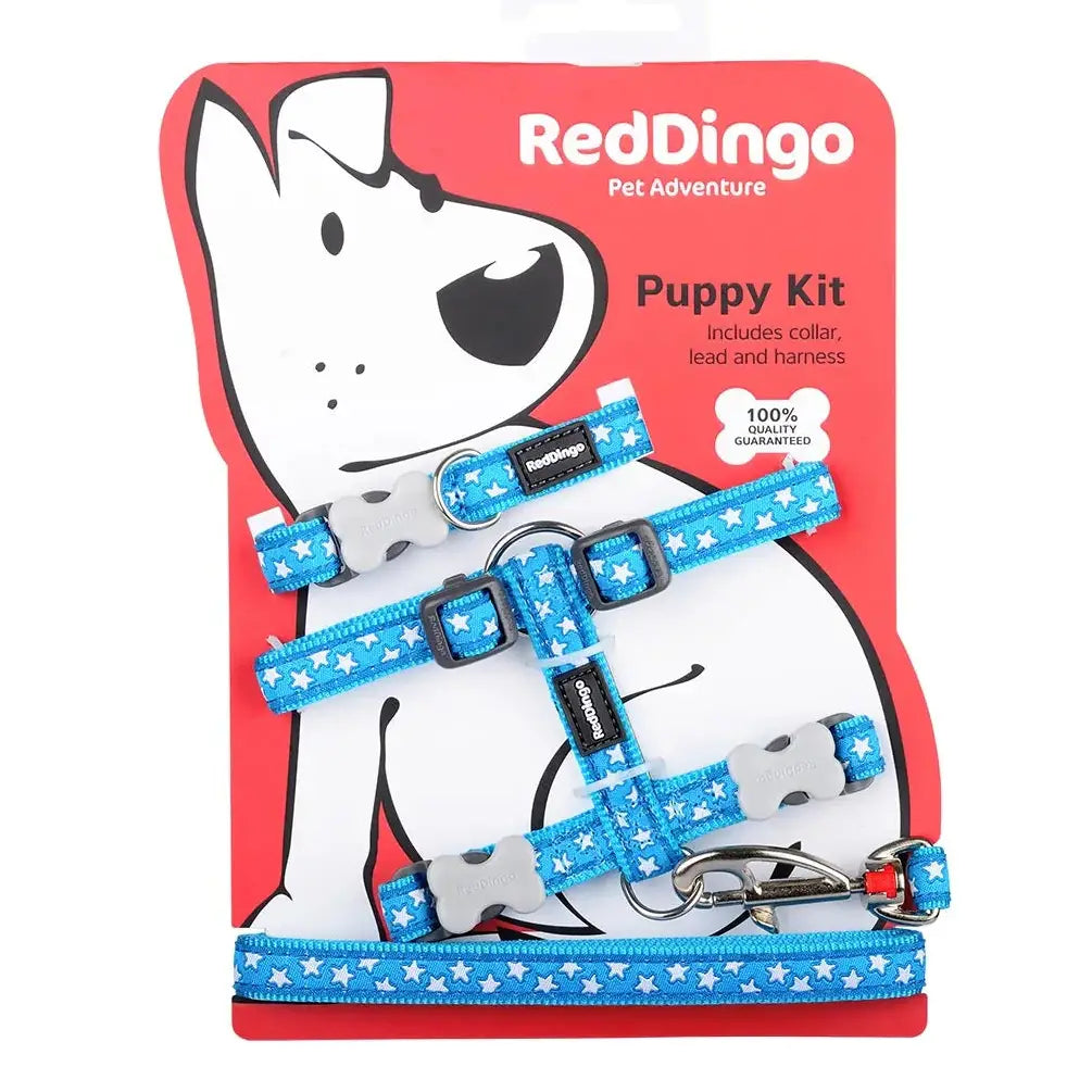 Red Dingo Puppy Kit